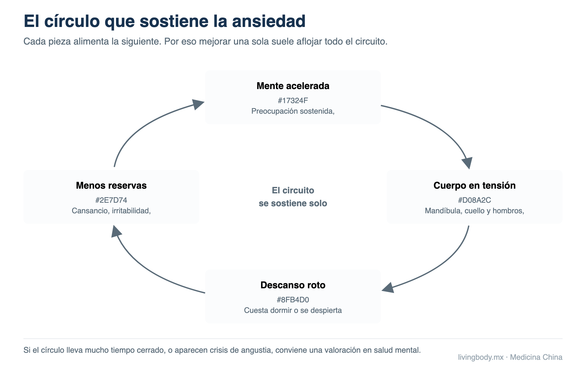 Diagrama circular que muestra cómo se retroalimentan la mente acelerada, la tensión corporal, el descanso roto y la pérdida de reservas en los cuadros de ansiedad sostenida.