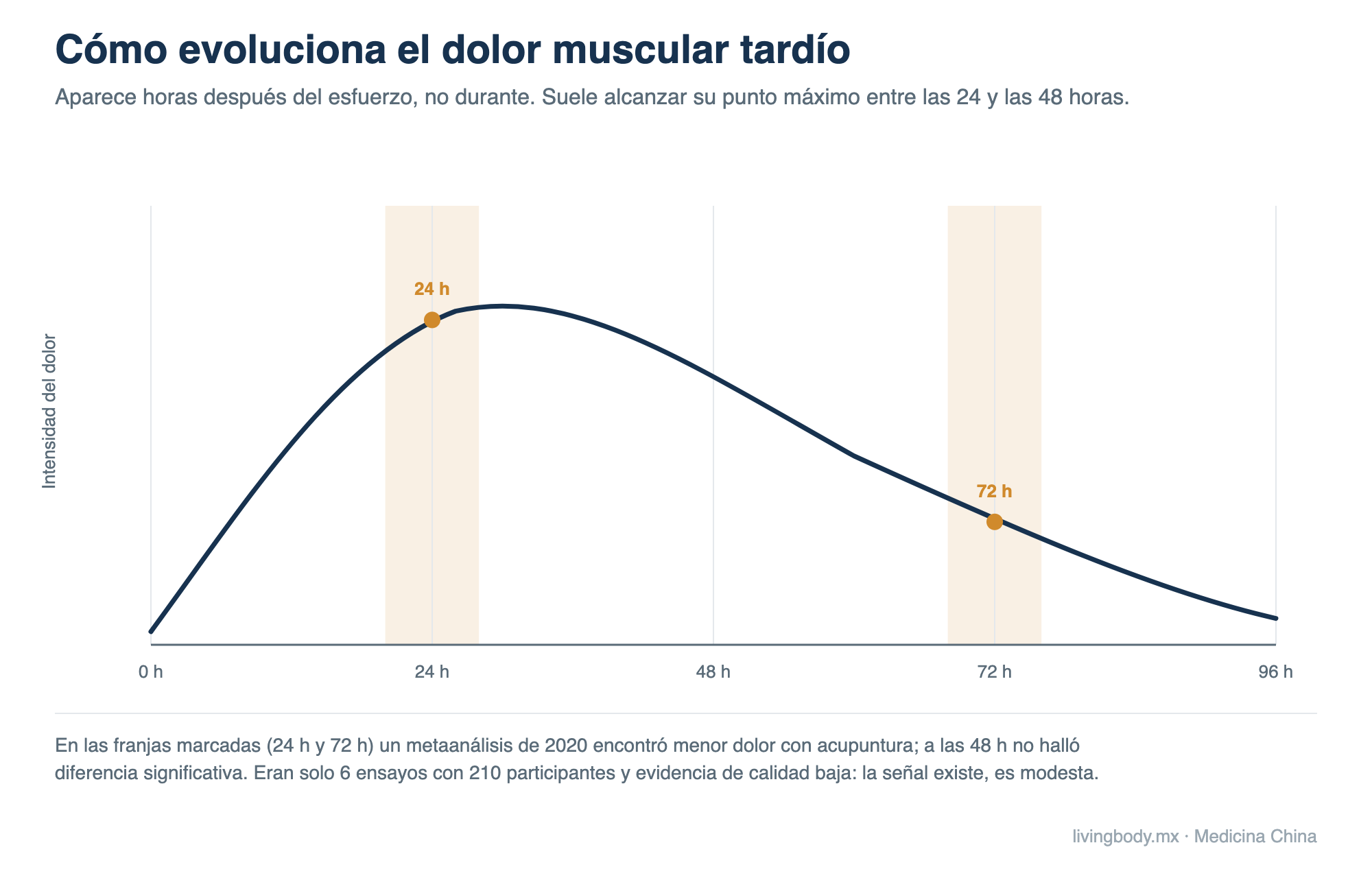 Curva que muestra la evolución del dolor muscular tardío tras el ejercicio intenso, con el pico entre las 24 y 48 horas y descenso hacia las 96 horas, señalando las franjas de 24 y 72 horas donde un metaanálisis encontró mejoría con acupuntura.