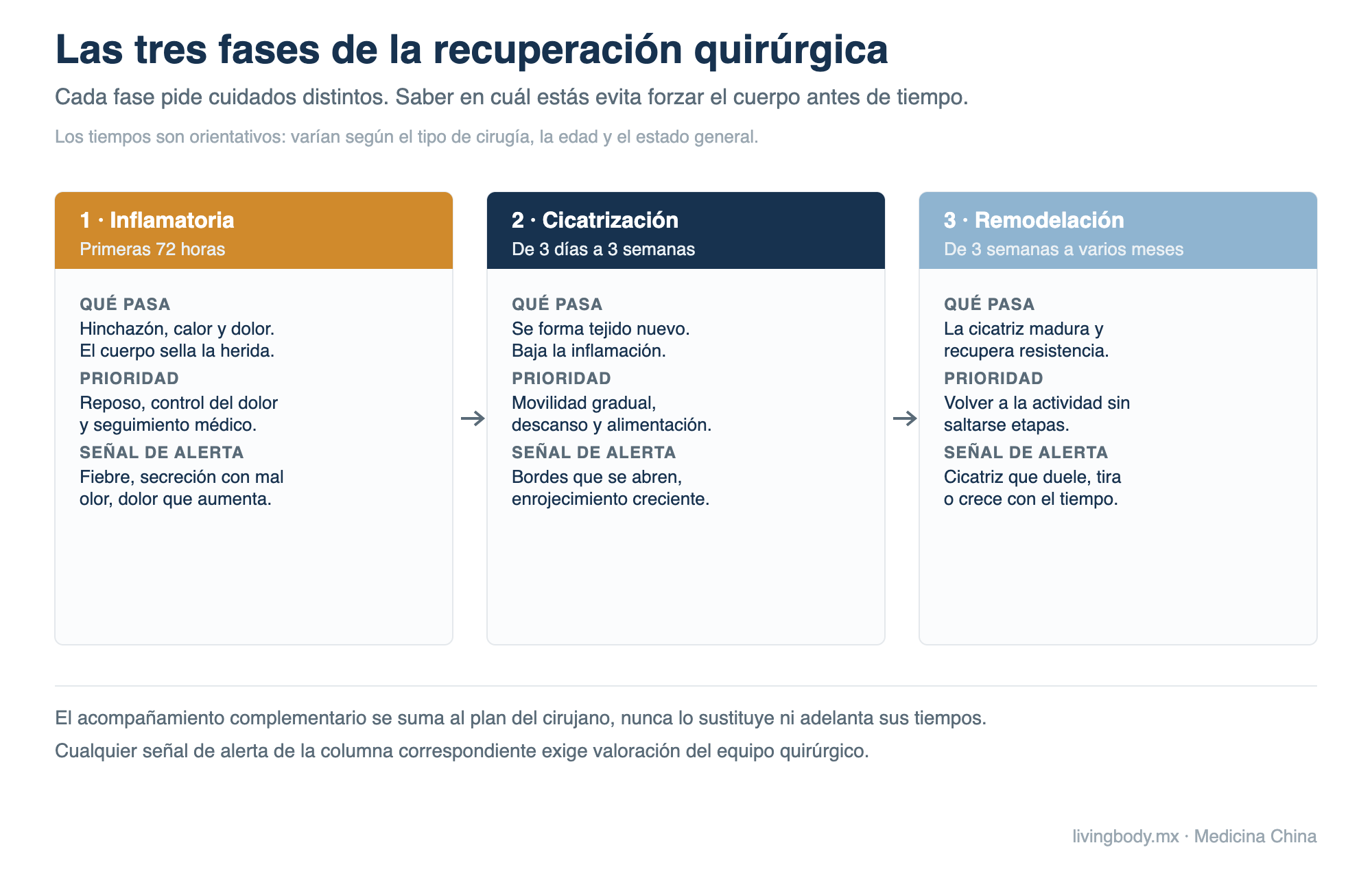 Diagrama de las tres fases de la recuperación tras una cirugía: fase inflamatoria en las primeras 72 horas, cicatrización de 3 días a 3 semanas y remodelación de 3 semanas a varios meses, con las prioridades y señales de alerta de cada una.
