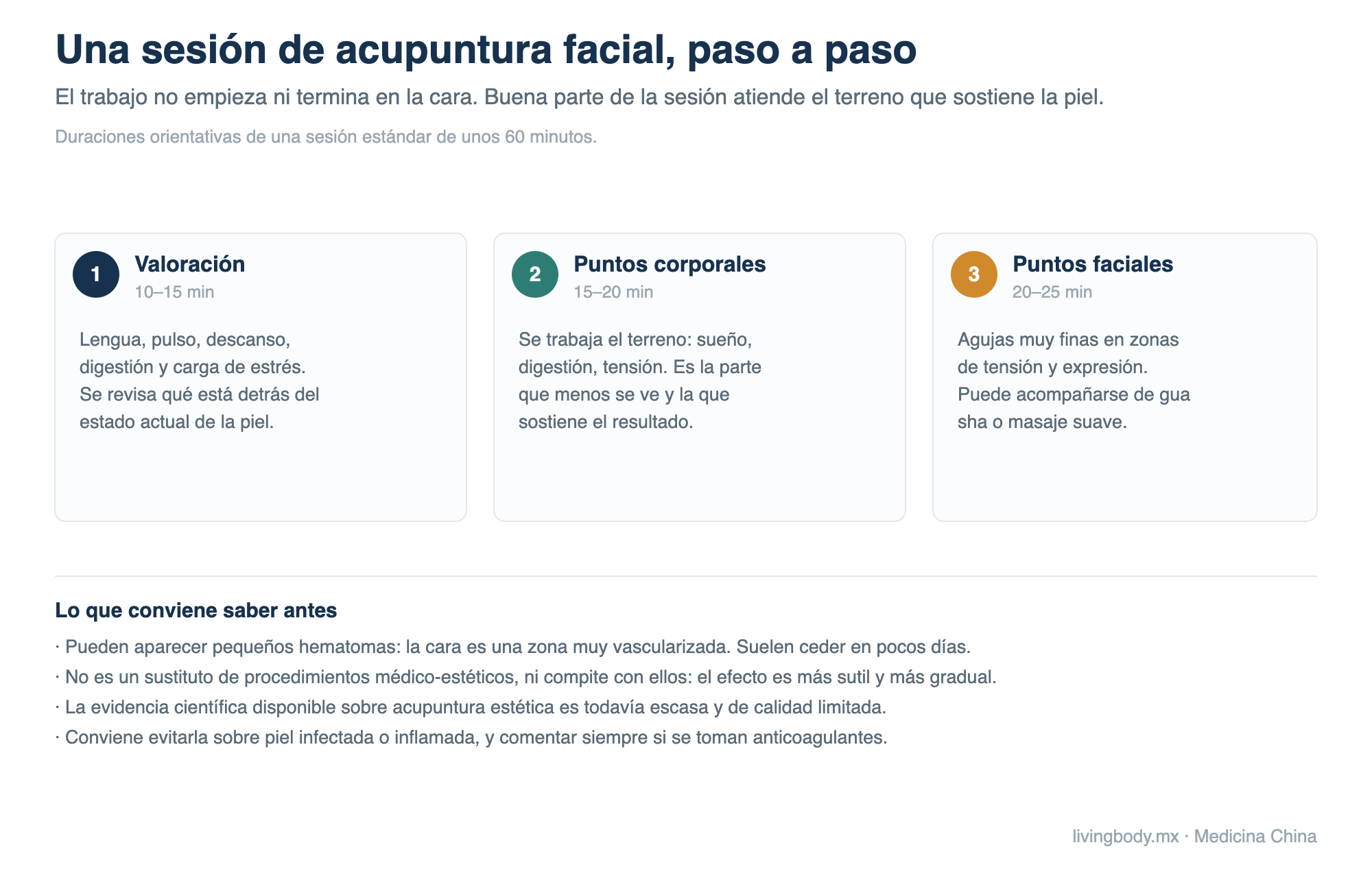 Diagrama de las tres etapas de una sesión de acupuntura facial: valoración, puntos corporales y puntos faciales, con advertencias sobre hematomas y límites del tratamiento.